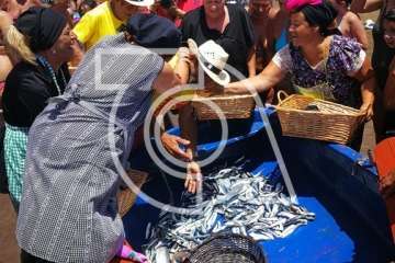 Melenara rememora el chinchorro y la varada del pescado (Foto TA)